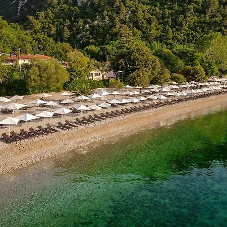 Campsite & Holiday منتزه العطل *